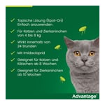 Advantage 80 mg Lösung große Katzen/Zierkaninchen Produktbild 8