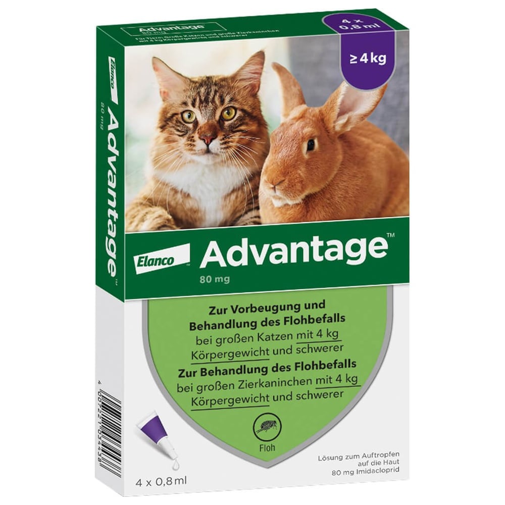 Advantage 80 mg Lösung große Katzen/Zierkaninchen