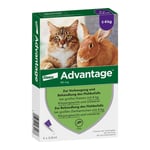 Advantage 80 mg Lösung große Katzen/Zierkaninchen Produktbild 1
