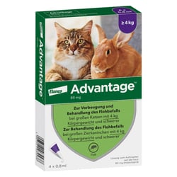 Advantage 80 mg Lösung große Katzen/Zierkaninchen