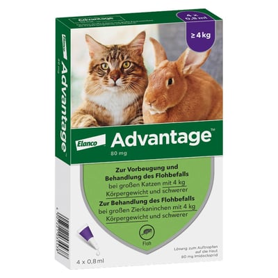 Advantage 80 mg Lösung große Katzen/Zierkaninchen Produktbild 1