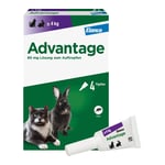 Advantage 80 mg Lösung große Katzen/Zierkaninchen Produktbild 2