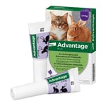 Advantage 80 mg Lösung große Katzen/Zierkaninchen Produktbild 4