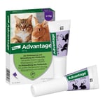 Advantage 80 mg Lösung große Katzen/Zierkaninchen Produktbild 3