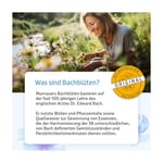 Bachblüten Murnauer Produktbild 5