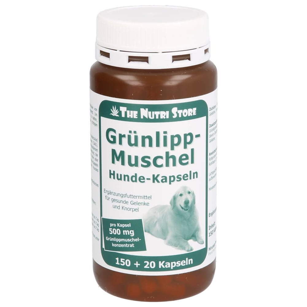 Grünlippmuschel 500mg für Hunde