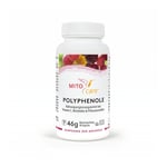 MITOcare Polyphenole Produktbild 1
