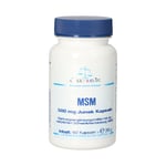 Msm 500 mg Junek Kps Produktbild 1