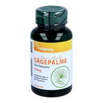 Saegepalme 540 mg