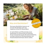 Bachblüten Murnauers Original Bonbons Produktbild 6