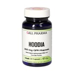 Hoodia 350 mg GPH Kapseln Produktbild 1