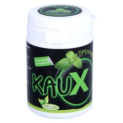 kauX Zahnpflegekaugummi spearmint mit Xylitol