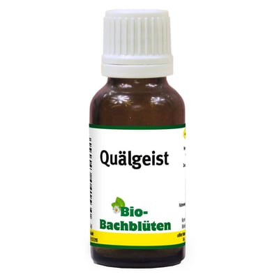 Bachblüte Quälgeist für Katzen
