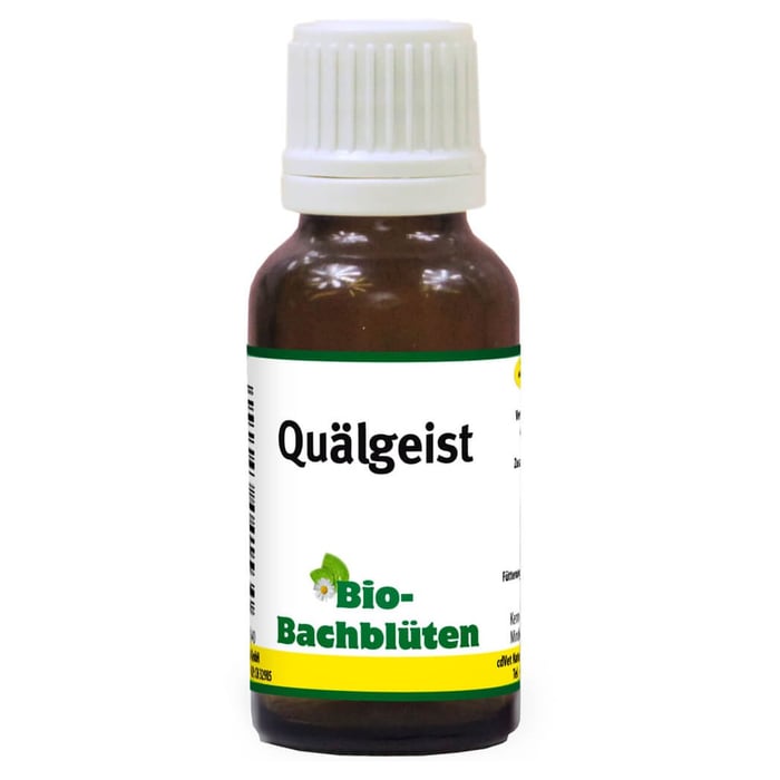 Bachblüte Quälgeist für Katzen