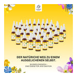 Bachblüten No.4 Centaury Bio Produktbild 3