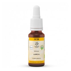 Bachblüten No.19 Larch Bio