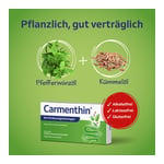 Carmenthin bei Verdauungsstörungen