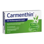 Carmenthin bei Verdauungsstörungen
