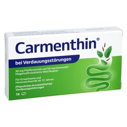 Carmenthin bei Verdauungsstörungen