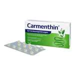 Carmenthin bei Verdauungsstörungen Produktbild 4