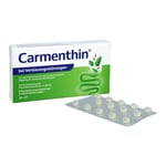Carmenthin bei Verdauungsstörungen Produktbild 3