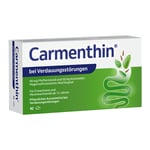 Carmenthin bei Verdauungsstörungen
