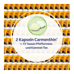 Carmenthin bei Verdauungsstörungen