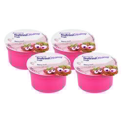 Nutrini Creamy Fruit Beerenfrüchte