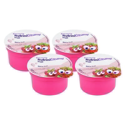 Nutrini Creamy Fruit Beerenfrüchte