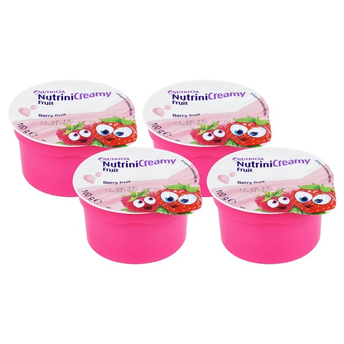 Nutrini Creamy Fruit Beerenfrüchte