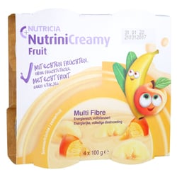 Nutrini Creamy Fruit Sommerfrüchte