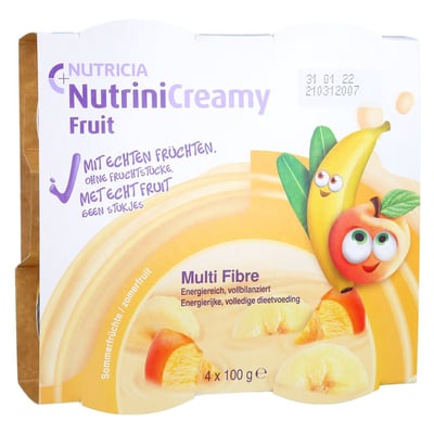 Nutrini Creamy Fruit Sommerfrüchte
