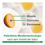 curcumin-Loges Produktbild 8