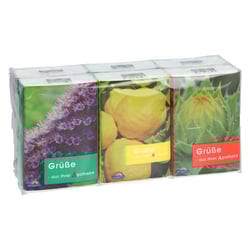 Taschentücher Pocket Flora