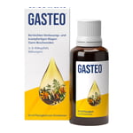 Gasteo