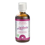 Dr. Jacob's Lactirelle Milchsäure-Cassis-Konzentrat Eisen