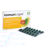 immunLoges