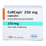 CellCept 250 mg