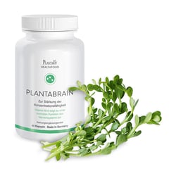 Plantabrain Gehirnkapseln