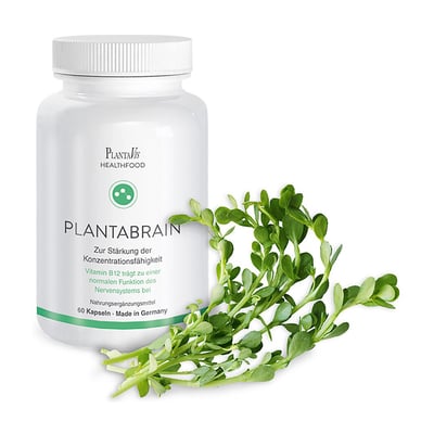 Plantabrain Gehirnkapseln