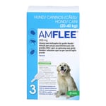Amflee 268 mg Spot-on Lösung f.große Hunde 20-40 kg
