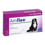 Amflee 402 mg Spot-on Lösung f.sehr gr. Hunde 40-60 kg