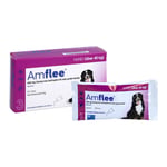 Amflee 402 mg Spot-on Lösung f.sehr gr. Hunde 40-60 kg