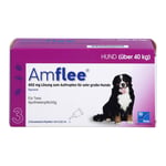 Amflee 402 mg Spot-on Lösung f.sehr gr. Hunde 40-60 kg