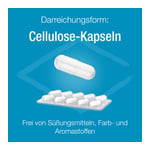 Magnesium Verla purKaps