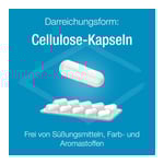 Magnesium Verla purKaps