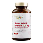 Roter Reishi Extrakt 500 mg Produktbild 1