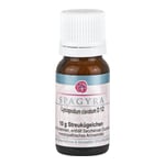 Lycopodium clavatum D12 Produktbild 1