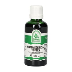 Spitzwegerich Tropfen zum Einnehmen