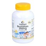 Bromelain 250 mg